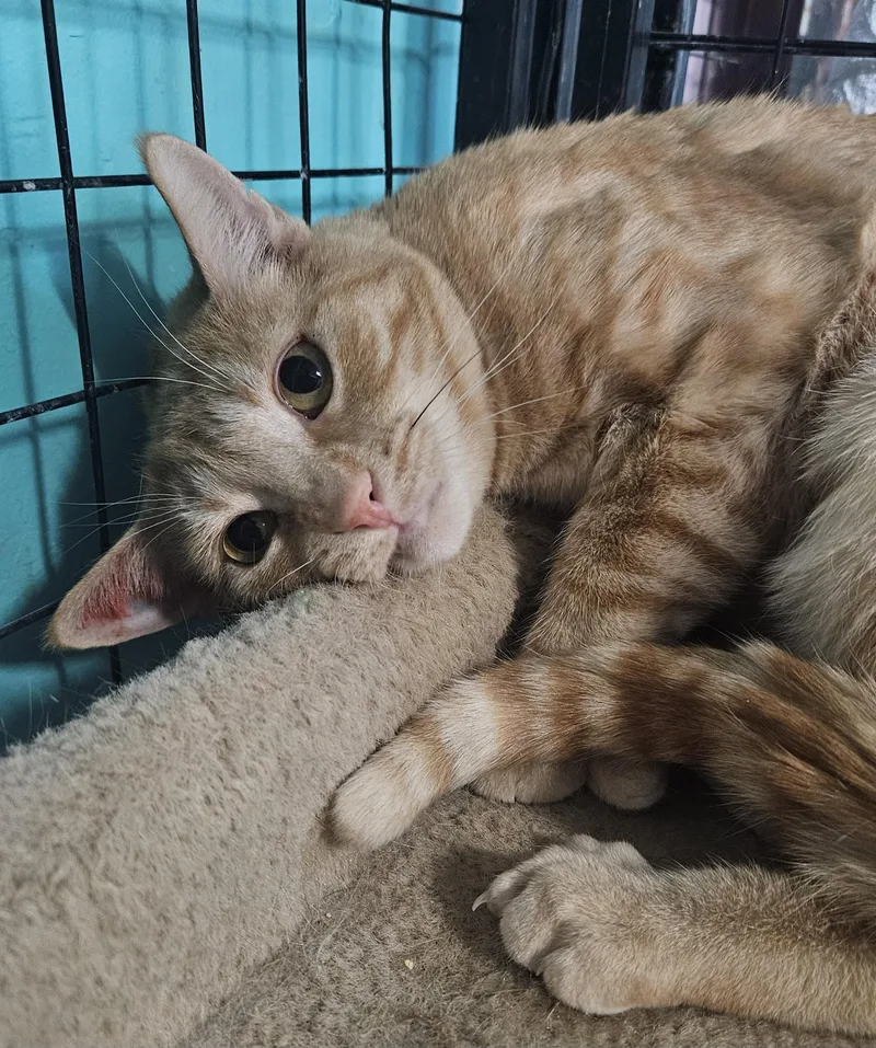 Sourdough thumbnail 3