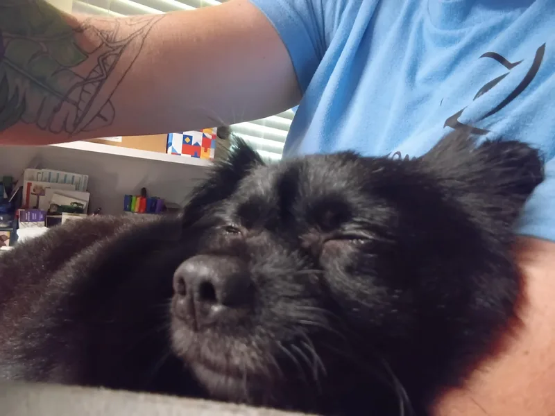 Maggie