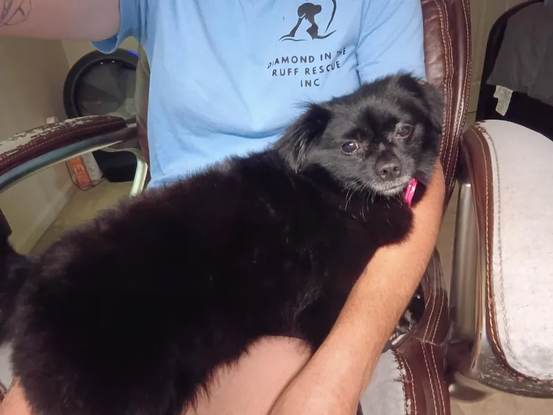 Maggie thumbnail 3