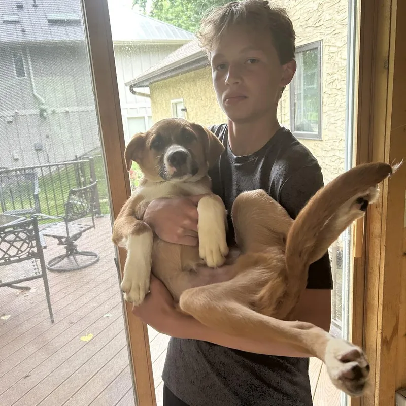 Elliott