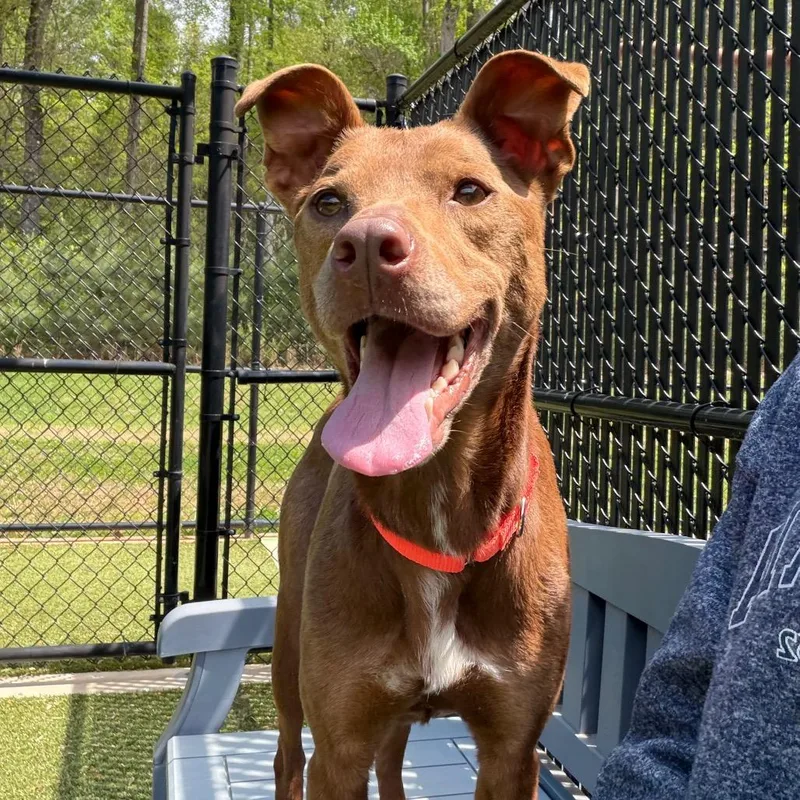 Friendly thumbnail 2