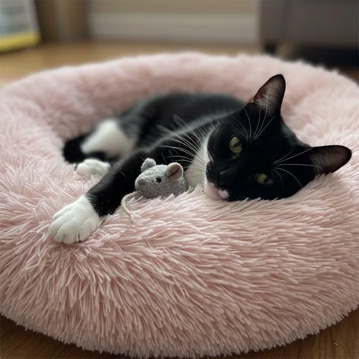 Whiskers Winn thumbnail 3