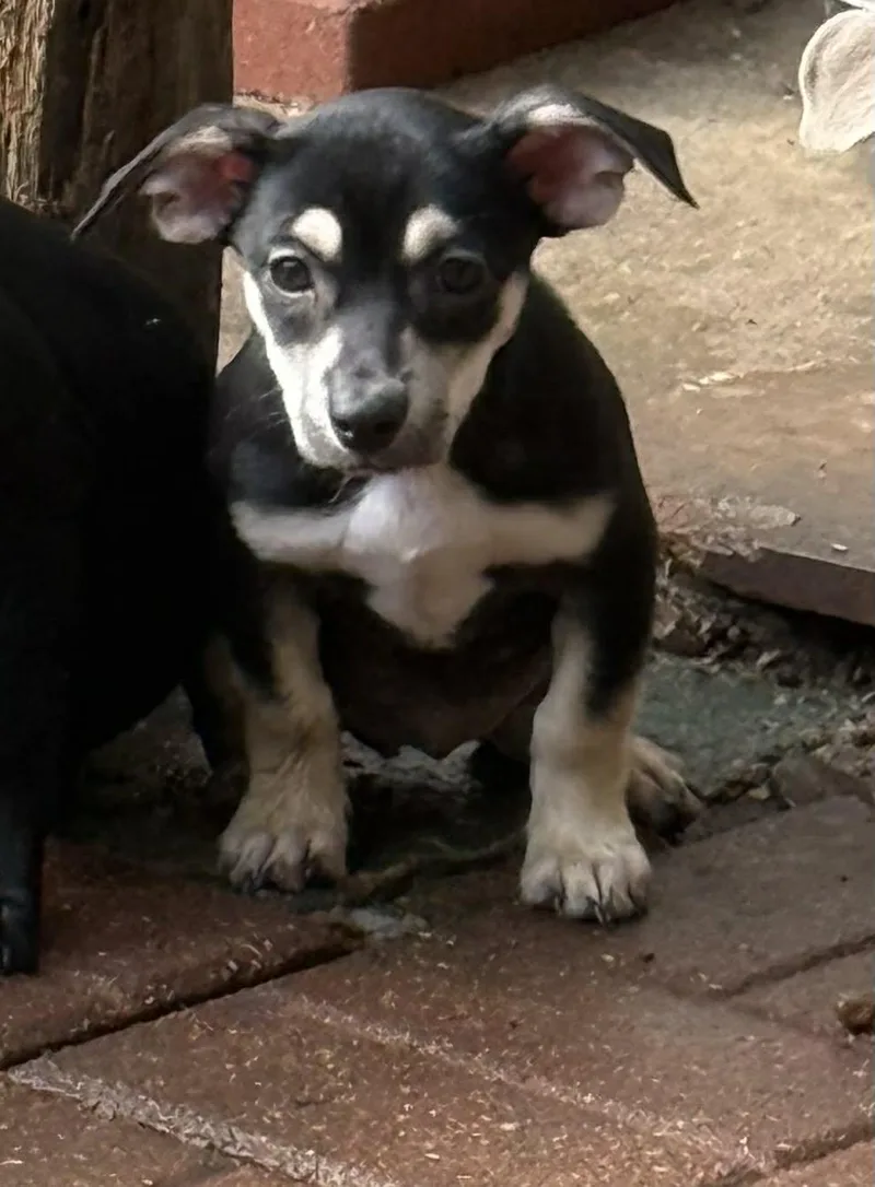 Esmerelda thumbnail 2