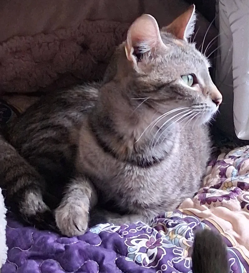 Amy thumbnail 2