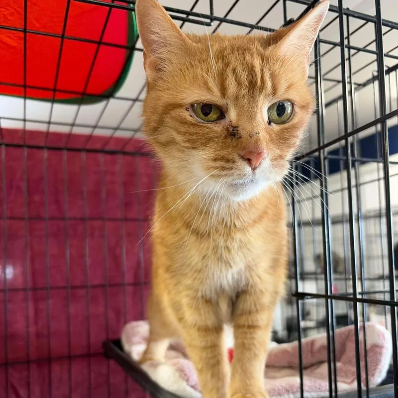 Emma Arc thumbnail 6