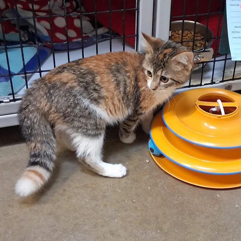 Serenity thumbnail 5