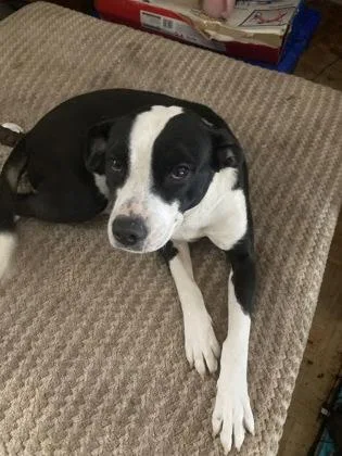 Roxy