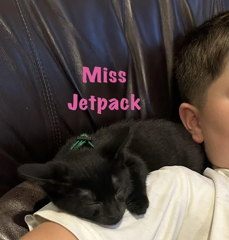 Miss Jetpack thumbnail 2