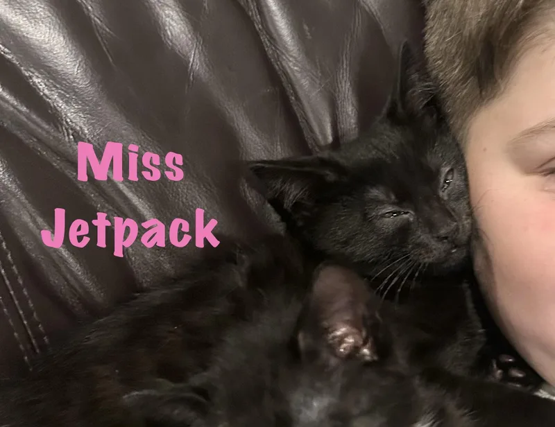 Miss Jetpack thumbnail 3