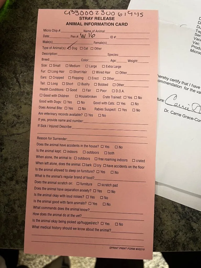 Sally Snowlady thumbnail 2