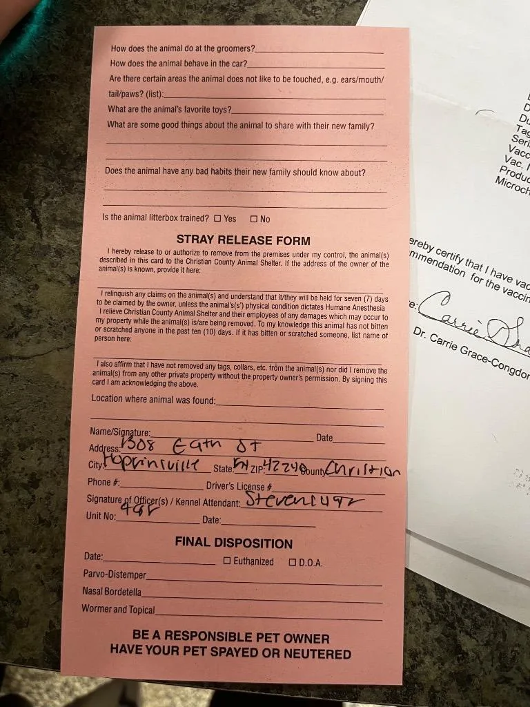 Sally Snowlady thumbnail 3