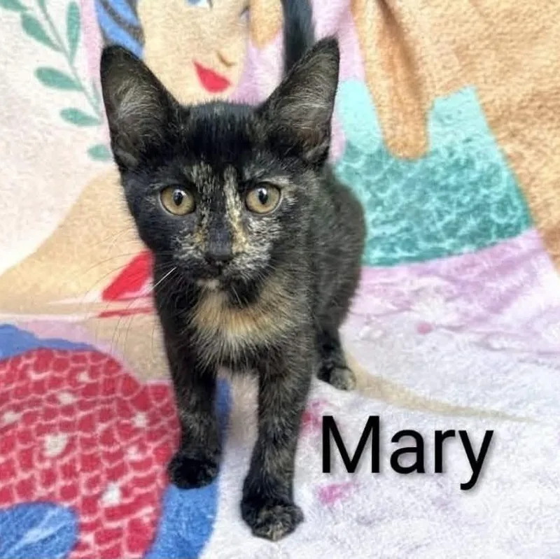 Mary