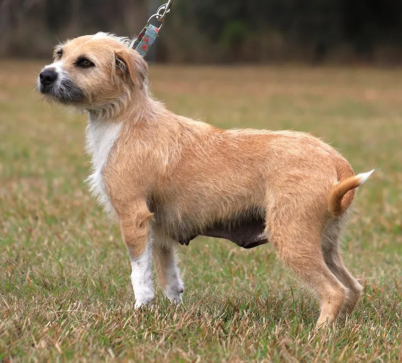 Tootsie Roll thumbnail 2