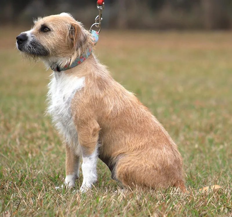 Tootsie Roll thumbnail 3