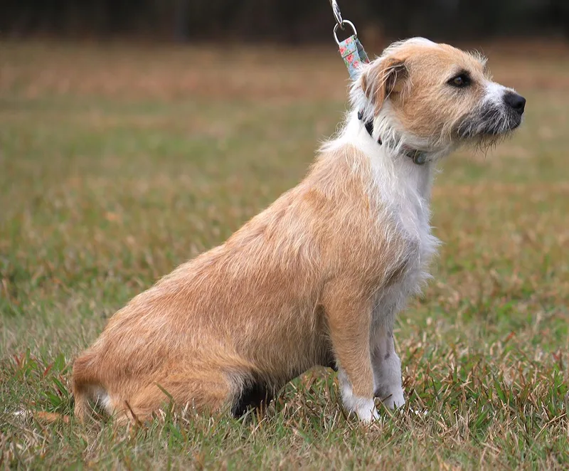 Tootsie Roll thumbnail 5