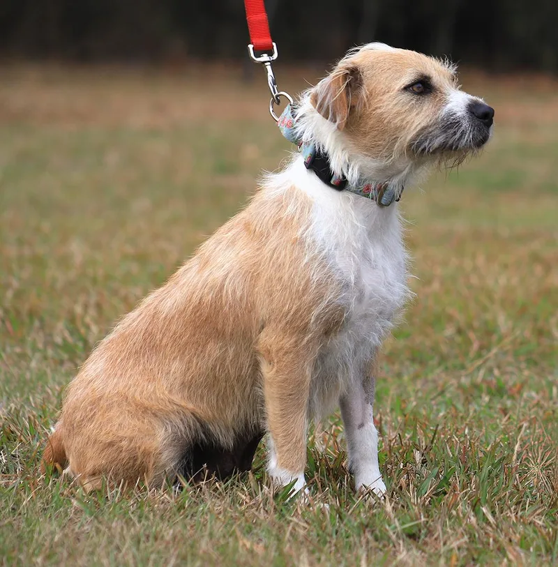 Tootsie Roll thumbnail 6