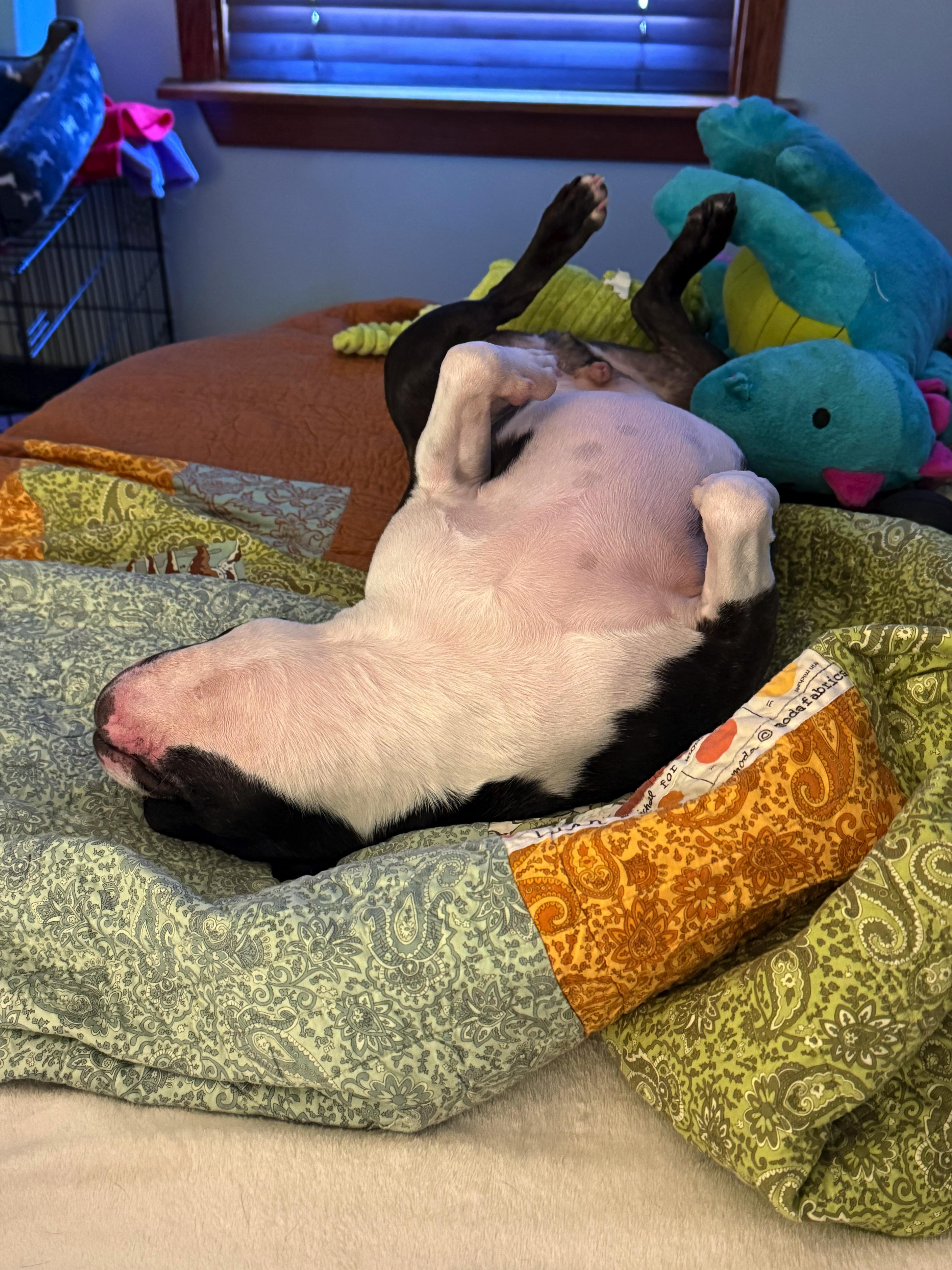 Lucifer In Ks thumbnail 5