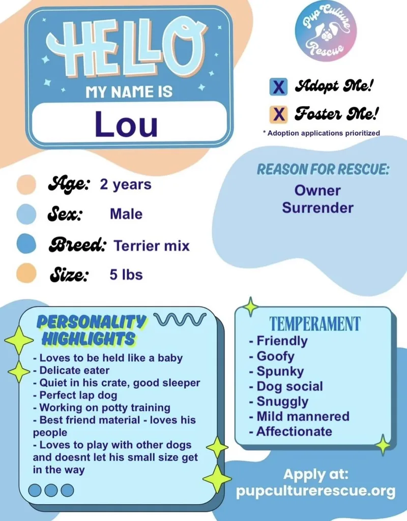 Lou thumbnail 3