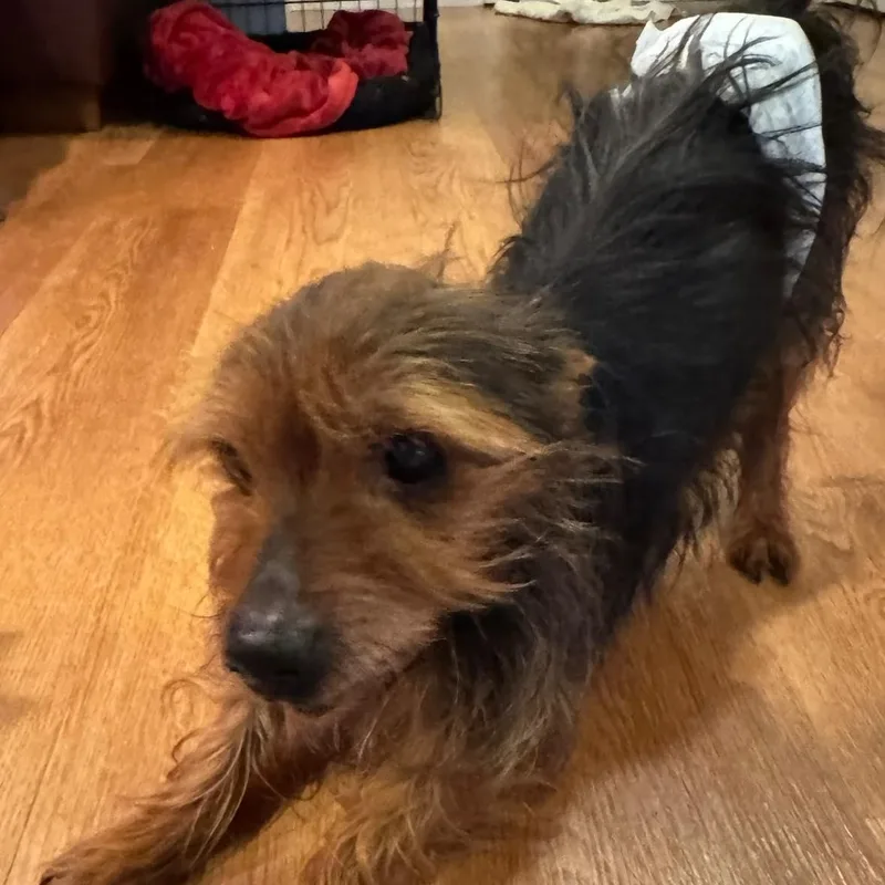 Clarence thumbnail 4