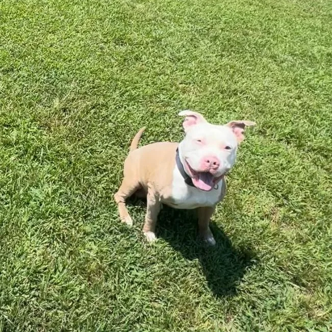 Hayden thumbnail 4