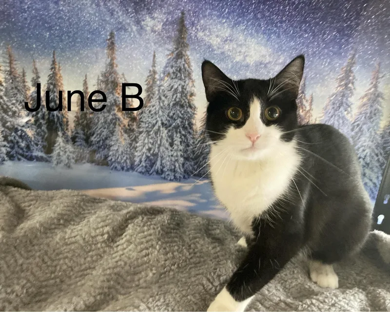 JuneB thumbnail 2