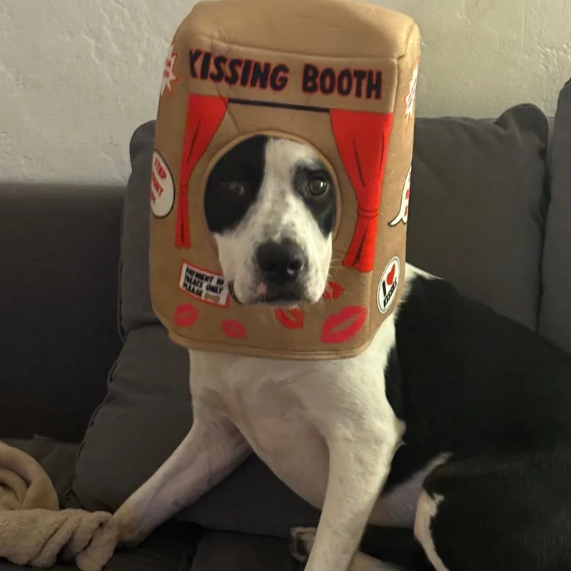 Southpaw thumbnail 2