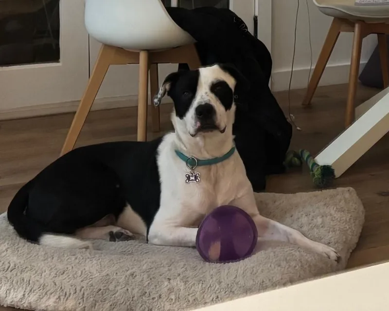 Southpaw thumbnail 3