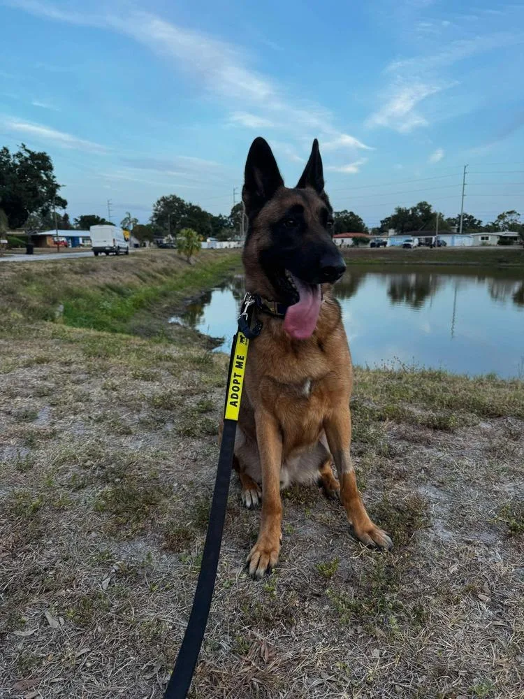 Bubba Located In Wy thumbnail 4