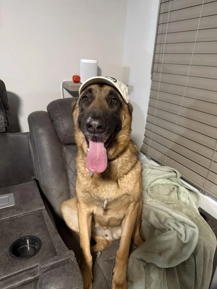 Bubba Located In Wy thumbnail 5