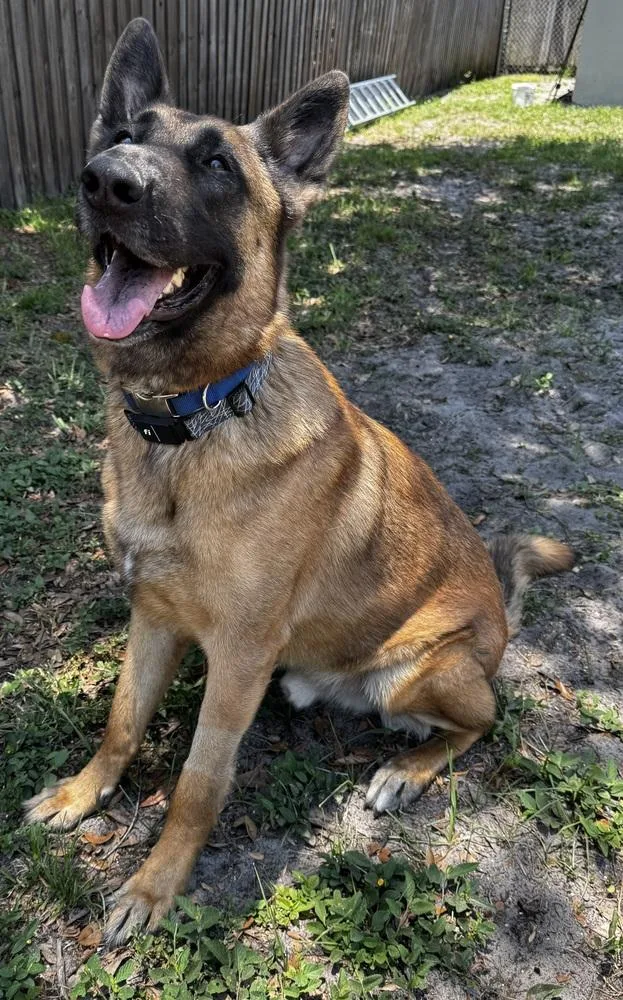 Bubba Located In Wy thumbnail 6