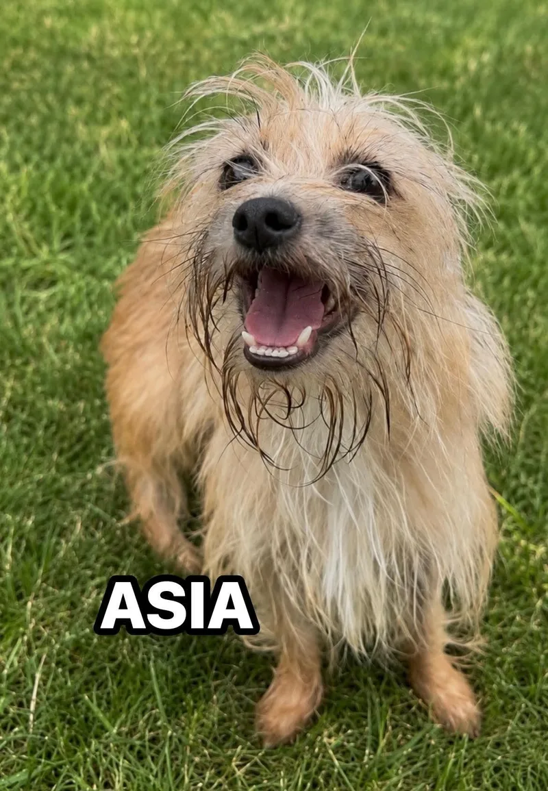 Asia