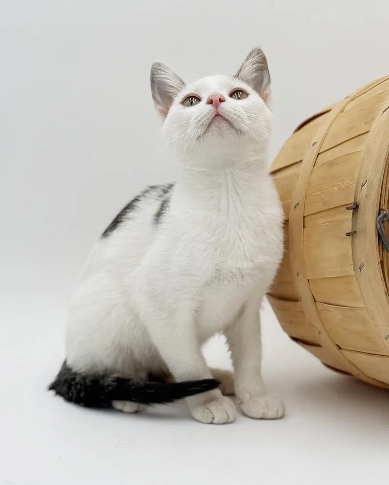 Polka Is Polka Dotted thumbnail 5