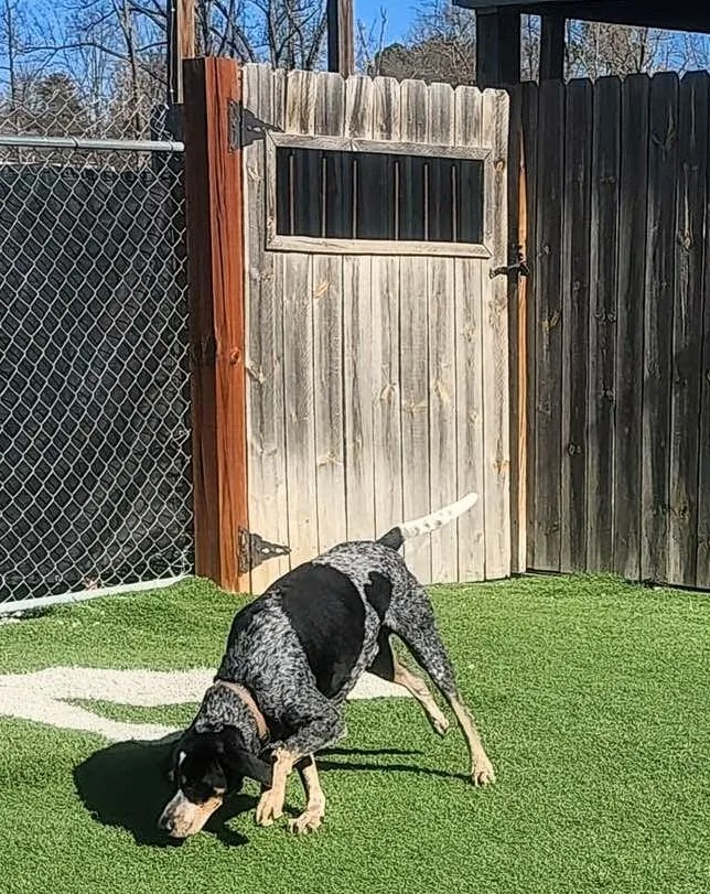 Jack Ryan thumbnail 2