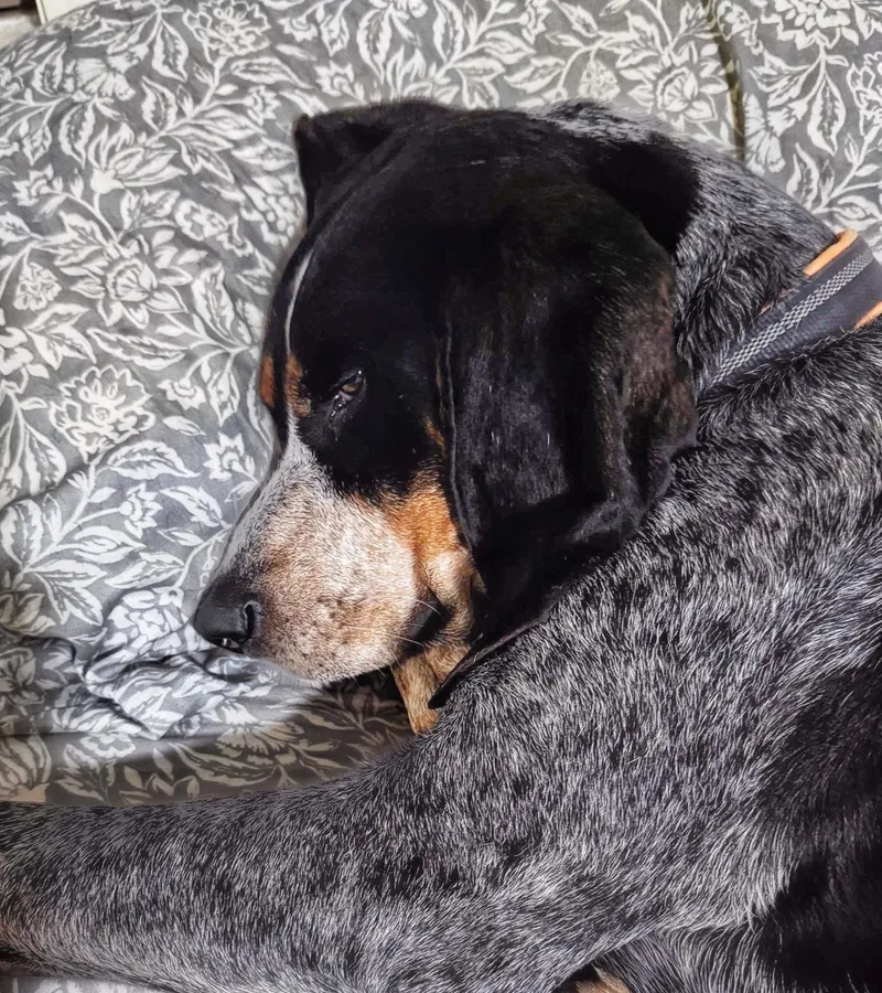 Jack Ryan thumbnail 3