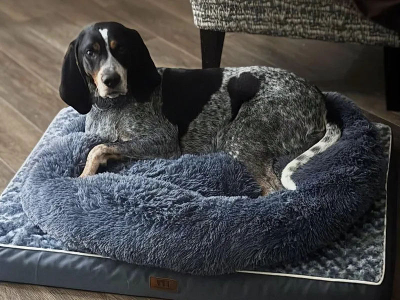 Jack Ryan thumbnail 6