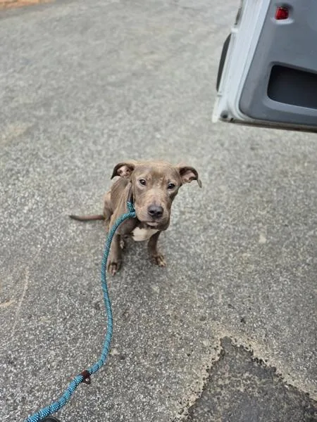 Vc   Bugsey thumbnail 2