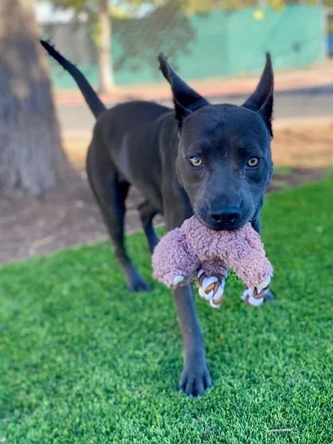 Lightning thumbnail 2