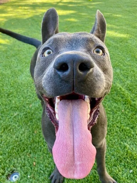 Lightning thumbnail 4