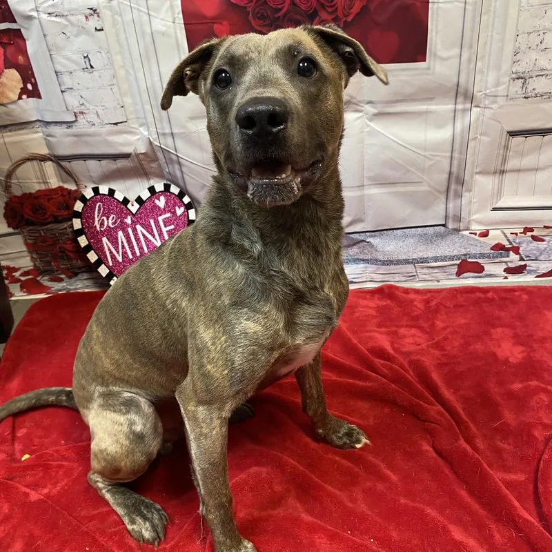 Solstice thumbnail 4