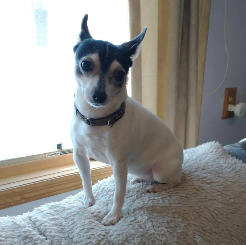 Sheila & Perry In thumbnail 2