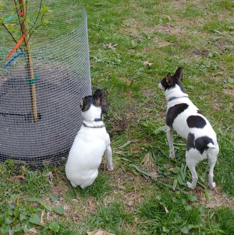 Sheila & Perry In thumbnail 3