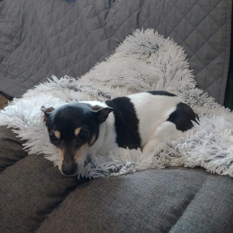 Sheila & Perry In thumbnail 6