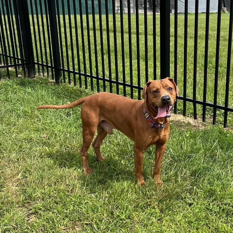 Dave @ Prison Program thumbnail 2