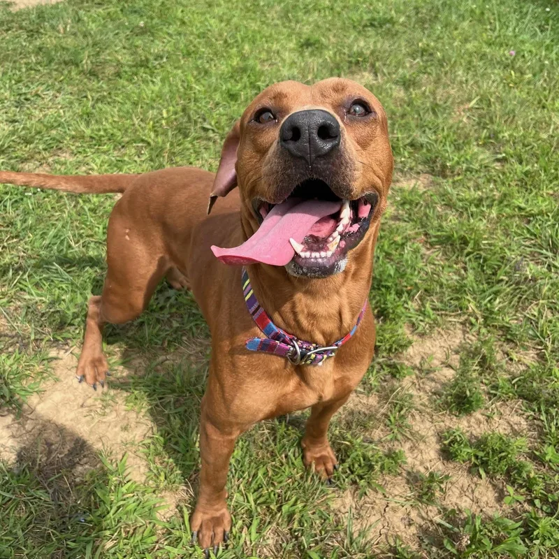 Dave @ Prison Program thumbnail 3