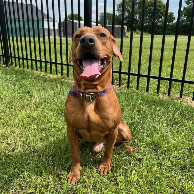 Dave @ Prison Program thumbnail 4