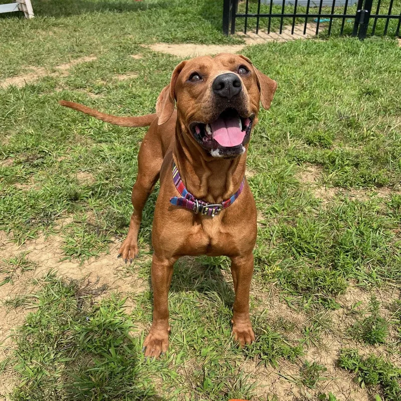 Dave @ Prison Program thumbnail 5