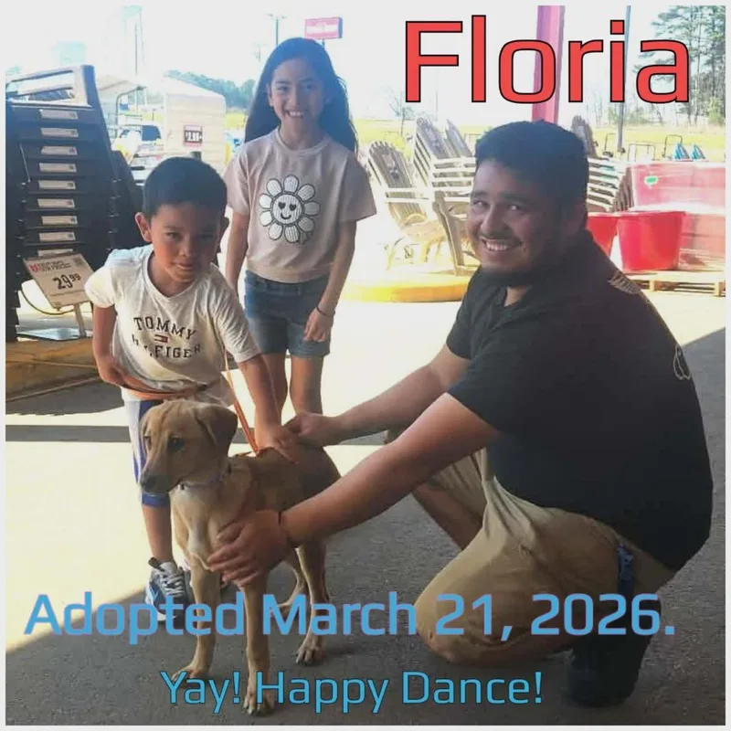 Floria thumbnail 2