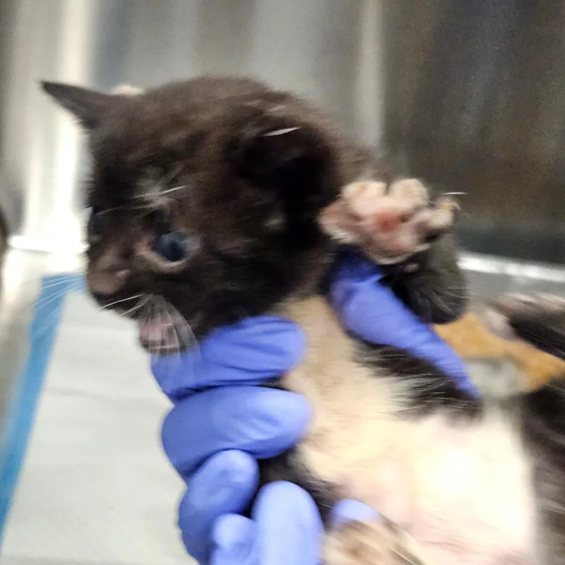 Edna thumbnail 2