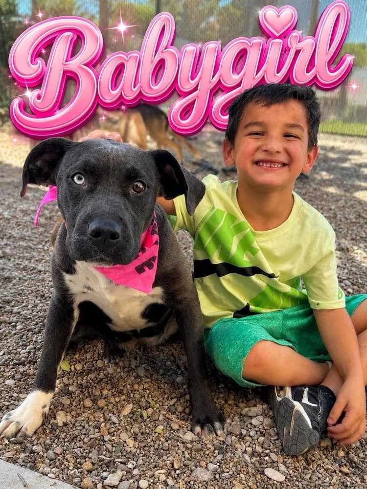 Baby Girl thumbnail 4