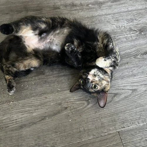 Matilda
